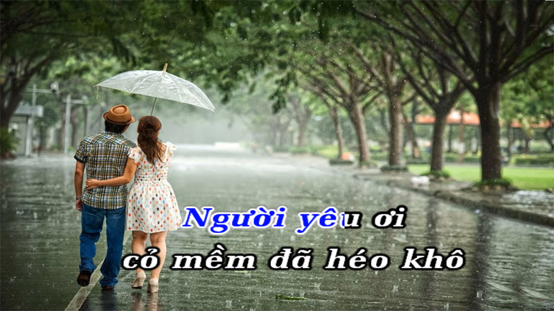 Cơn mưa tình yêu